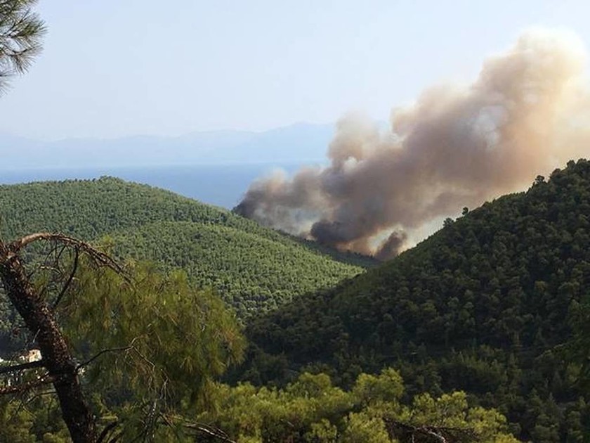 Φωτιά ΤΩΡΑ: Μεγάλη πυρκαγιά στη Σκόπελο – Συγκλονιστικές εικόνες από τον πύρινο εφιάλτη