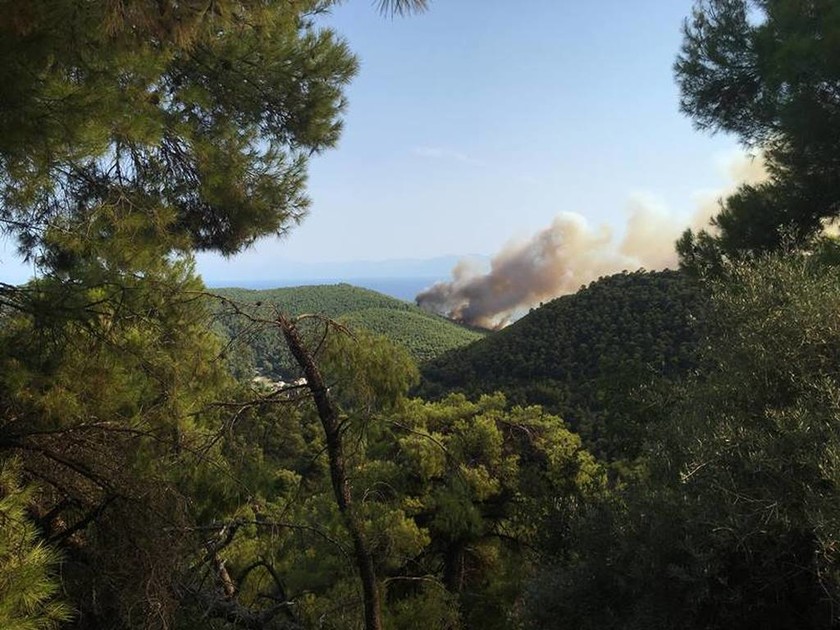 Φωτιά ΤΩΡΑ: Μεγάλη πυρκαγιά στη Σκόπελο – Συγκλονιστικές εικόνες από τον πύρινο εφιάλτη