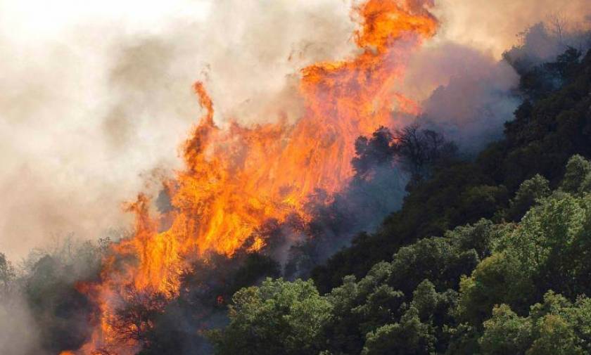 Προσοχή! Σε ποιες περιοχές θα είναι πολύ υψηλός ο κίνδυνος πυρκαγιάς τη Δευτέρα (23/07)