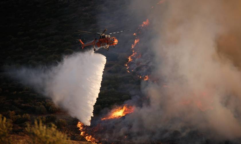 Φωτιά ΤΩΡΑ: Μεγάλη πυρκαγιά στην Κινέτα - Στις φλόγες τα Γεράνεια Όρη (pics)