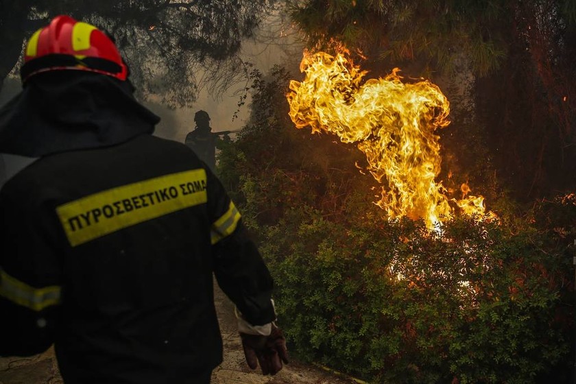 Φωτιά ΤΩΡΑ στην Κινέτα: Στις αυλές των σπιτιών έφτασαν οι φλόγες (vid)