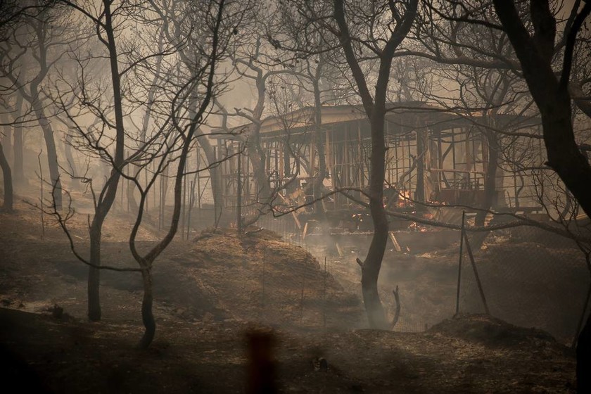 Φωτιά ΤΩΡΑ στην Κινέτα: Δείτε LIVE την εξέλιξη της πυρκαγιάς 