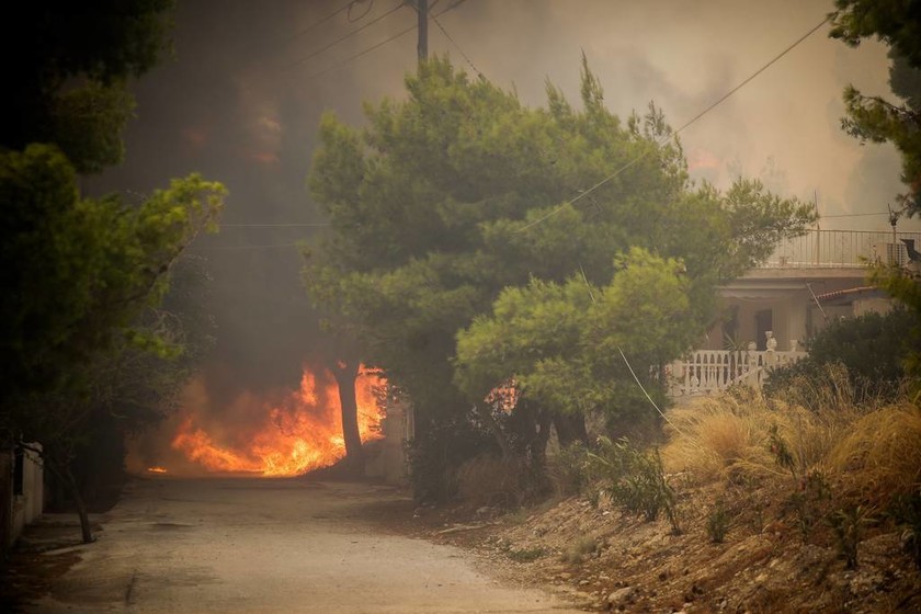 Φωτιά ΤΩΡΑ: Σοκαριστικό βίντεο με τις φλόγες να κυκλώνουν την Εθνική Οδό