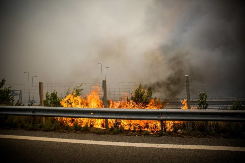 Φωτιά ΤΩΡΑ: Σοκαριστικό βίντεο με τις φλόγες να κυκλώνουν την Εθνική Οδό