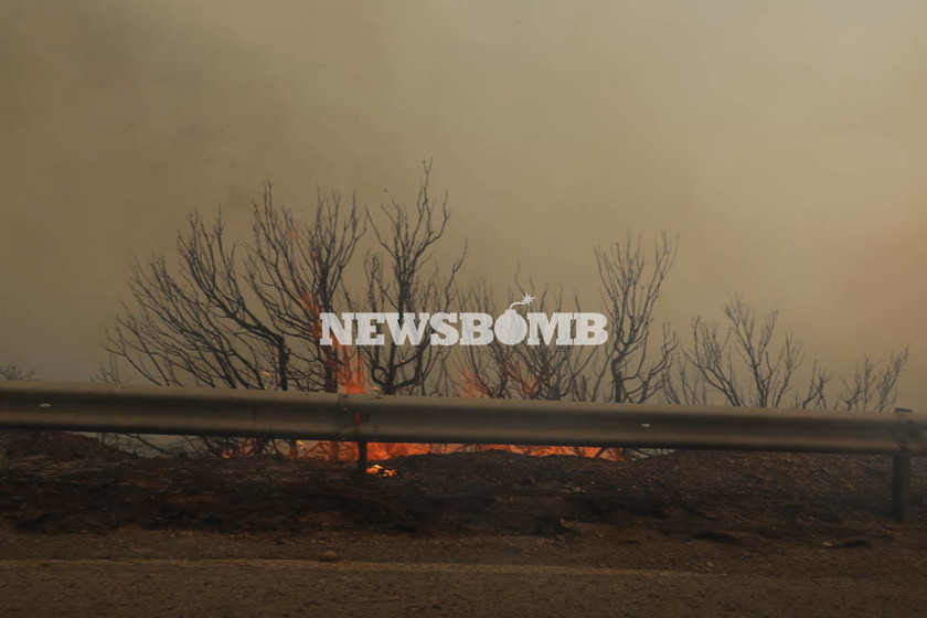Φωτιά Κινέτα: Εικόνες - ΣΟΚ από την καταστροφική πυρκαγιά - Δείτε τι άφησε πίσω της η φωτιά 