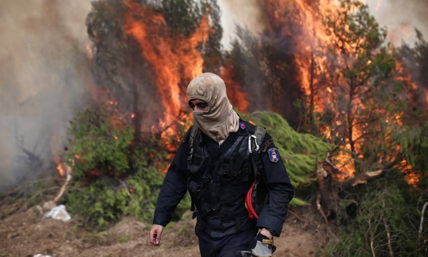 Φωτιά ΤΩΡΑ - Αλεξανδρούπολη: Σε εξέλιξη πυρκαγιά σε πευκοδάσος στην περιοχή της Λευκίμης