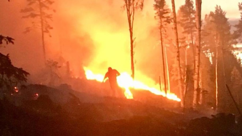 Στις «φλόγες» η Βόρεια Ευρώπη: Καίγονται αρχαία δάση σε Φινλανδία, Σουηδία, Νορβηγία και Λετονία 