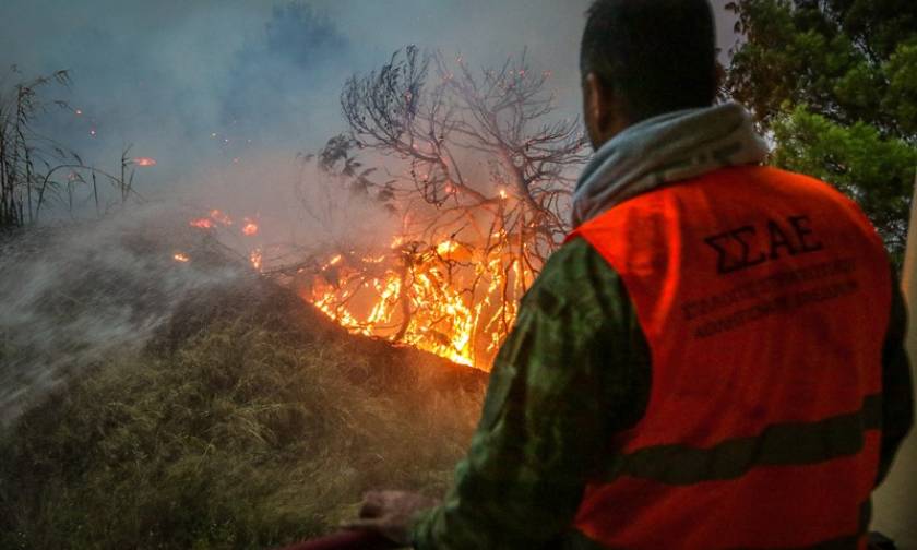 Φωτιά τώρα - Πυροσβεστική: Έξι τραυματίες – Αίτημα για διεθνή βοήθεια