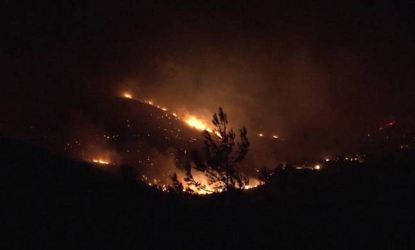 Φωτιά Αλεξανδρούπολη: Συνεχίζεται η μάχη με τις φλόγες στην περιοχή της Λευκίμης