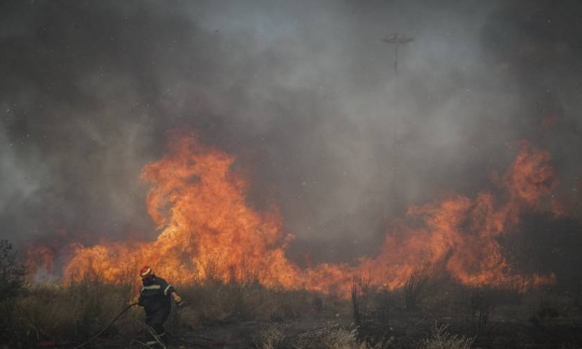 Φωτιά ΤΩΡΑ: Μεγάλη πυρκαγιά στην Αταλάντη - Στις φλόγες ο Χλωμός (χάρτης)
