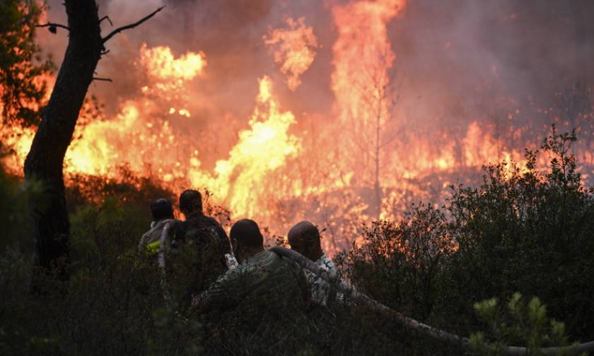 Φωτιά ΤΩΡΑ: Σε πλήρη εξέλιξη η πυρκαγιά στις περιοχές Ζεμενό και Θροφάρι στην Κόρινθο (χάρτης)
