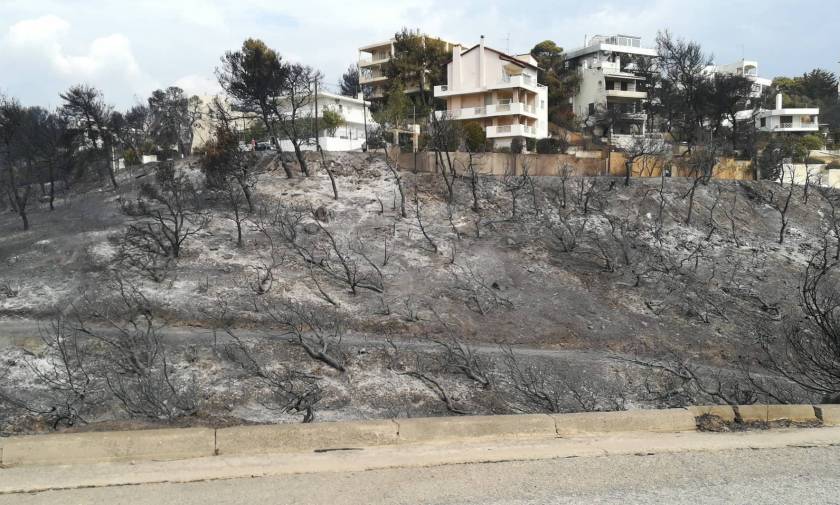 Πυροσβεστική: Στους 49 οι νεκροί από τις φονικές φωτιές στην Αττική (vid)