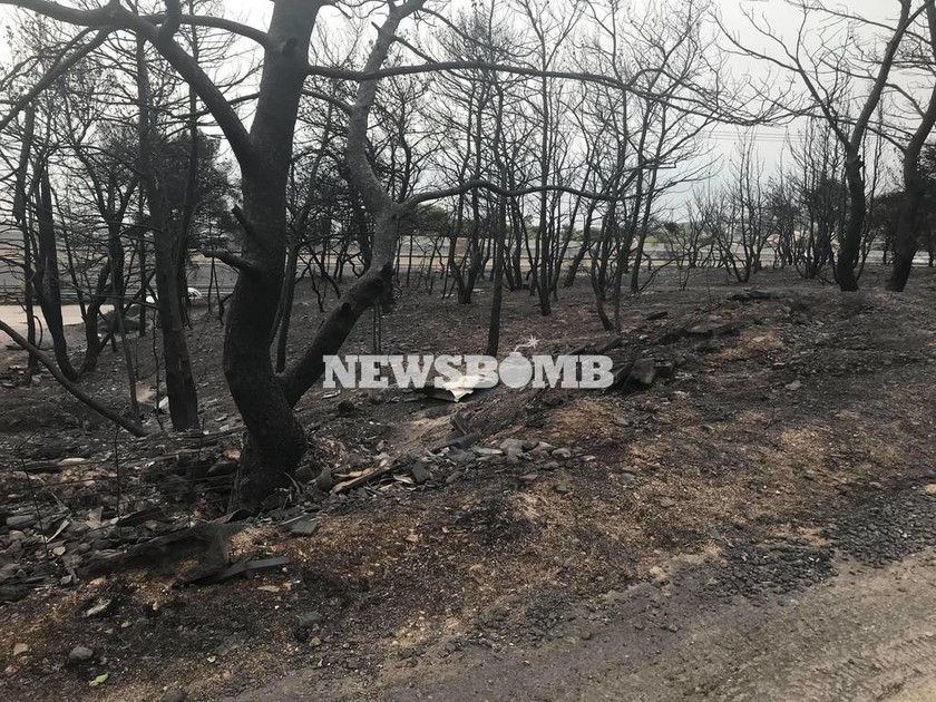 Φωτιά Κινέτα: Συνεχίζει το καταστροφικό της έργο η πυρκαγιά - Μετρούν τις πληγές τους οι κάτοικοι