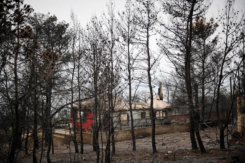 Δύο Πολωνοί μεταξύ των νεκρών από τις πυρκαγιές στην Αττική