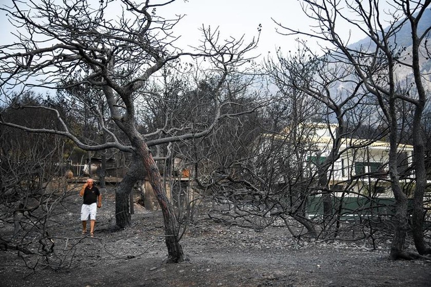 Φωτιά Αττική: Αυτά είναι τα πρώτα έκτακτα μέτρα για τους πληγέντες από τις πυρκαγιές