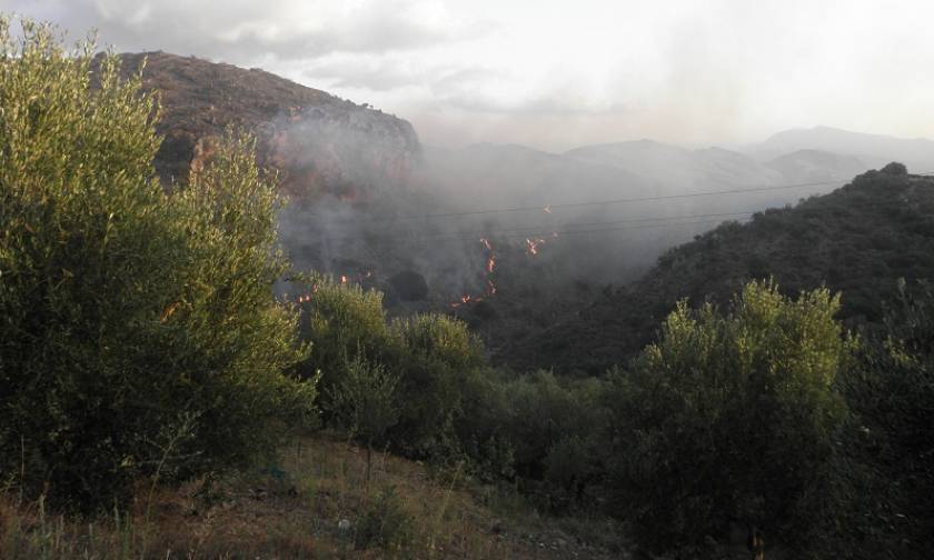 Φωτιά Χανιά: Σε τρία μέτωπα μαίνεται η πυρκαγιά στον Κακόπετρο (pics)