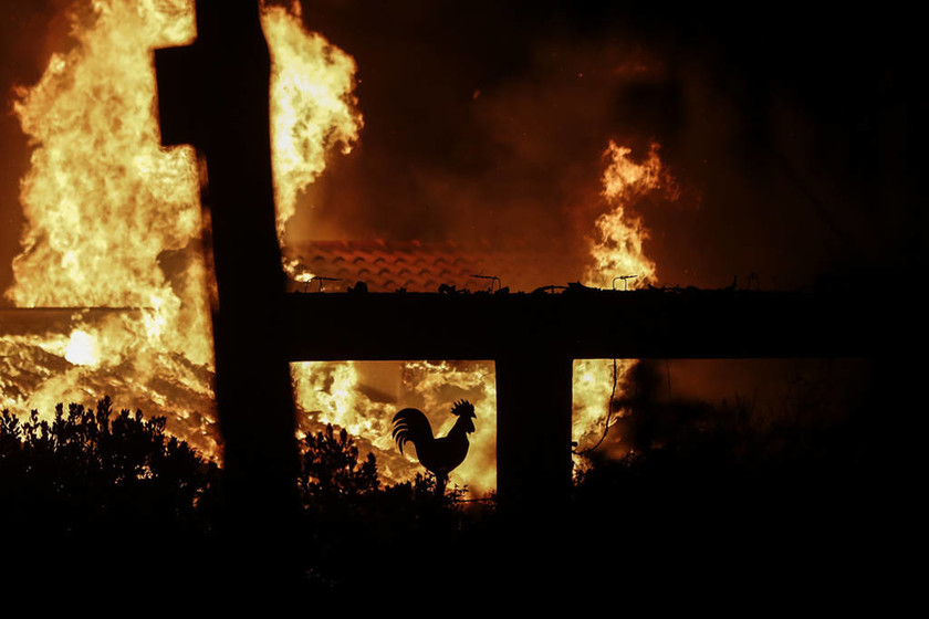 Φωτιά Αττική: Ο Πάπας Φραγκίσκος προσεύχεται για τα δεκάδες θύματα των πυρκαγιών 