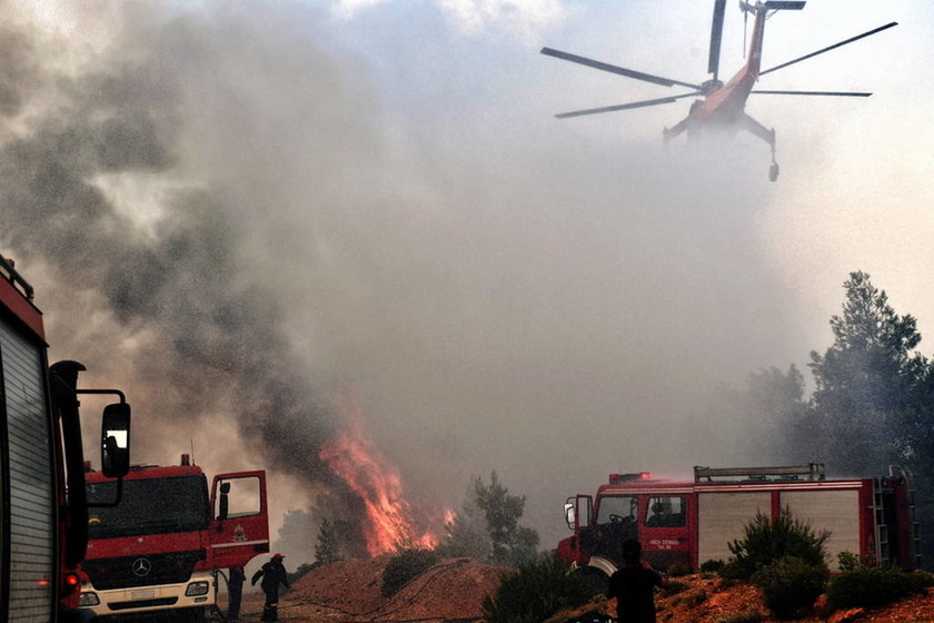 Φωτιά: Ειδικός λογαριασμός στην Τράπεζα της Ελλάδος για την αρωγή των πληγέντων από τις πυρκαγιές