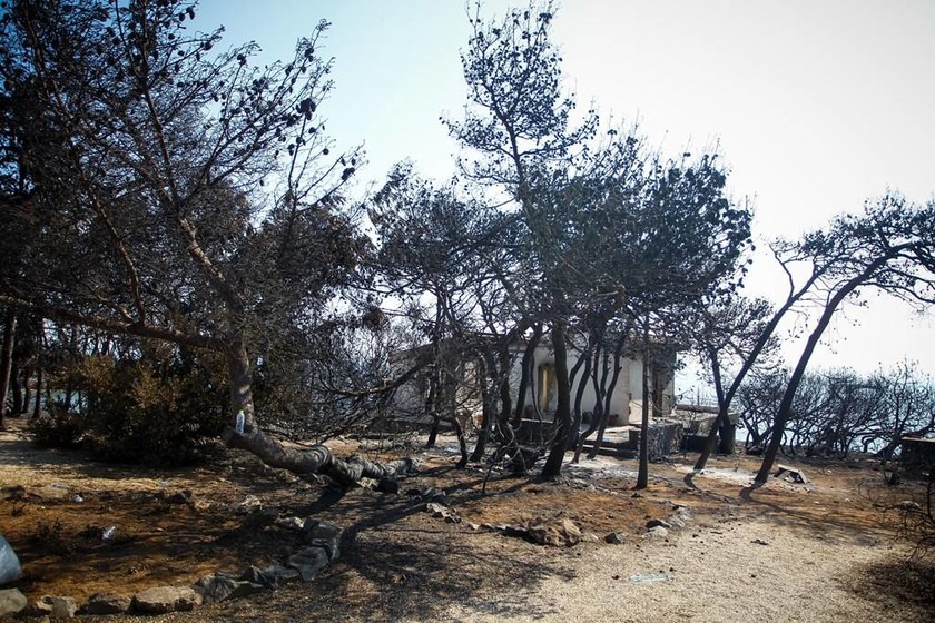 Φωτιά - Πυροσβεστική: Στους 81 οι νεκροί από τις φονικές πυρκαγιές