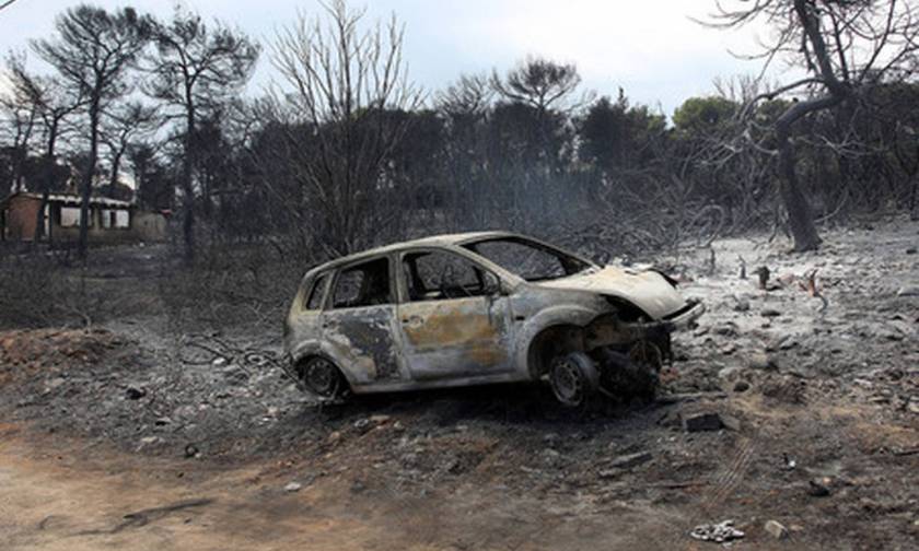 Death toll from fires hits 88
