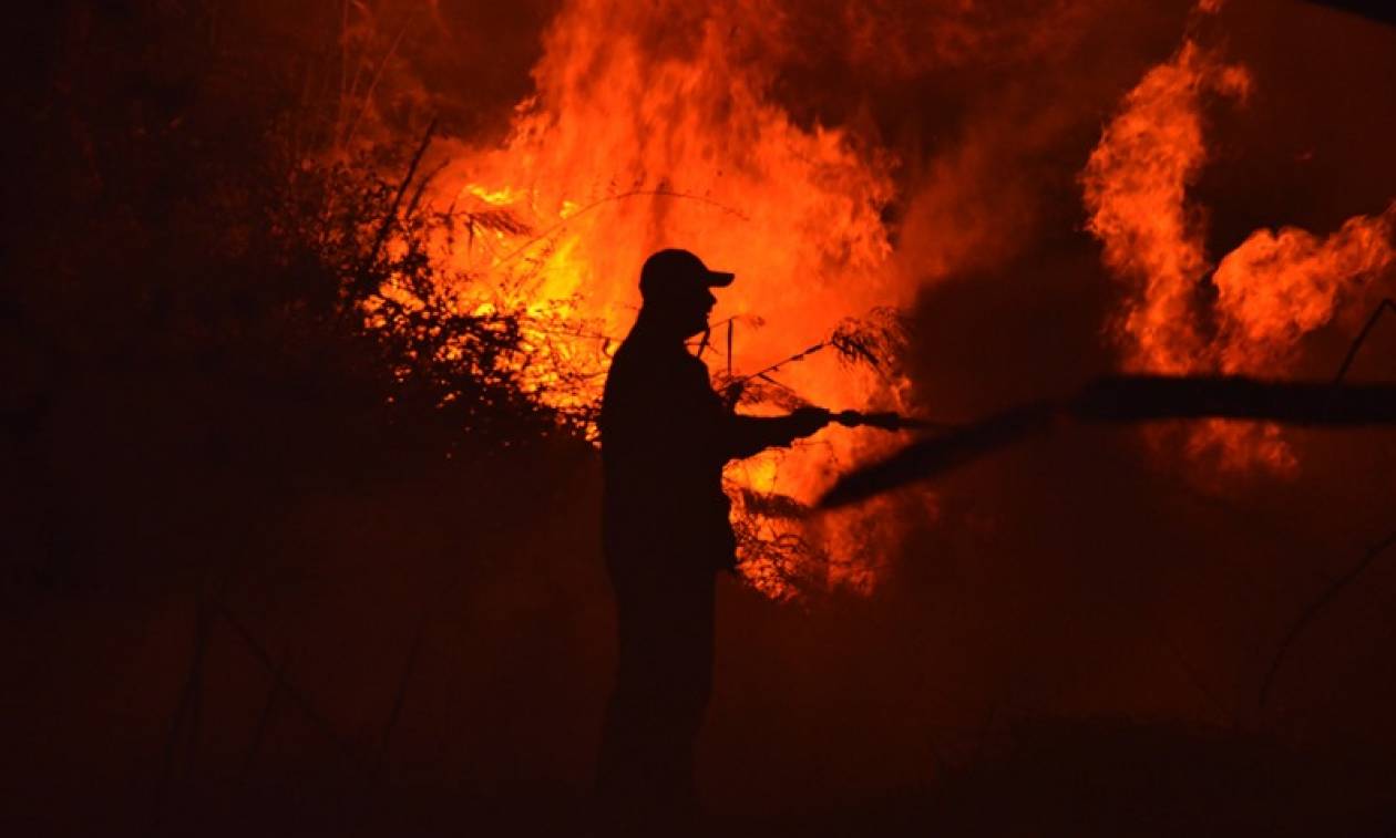 Φωτιά ΤΩΡΑ: Και δεύτερη πυρκαγιά μαίνεται στη Ζάκυνθο