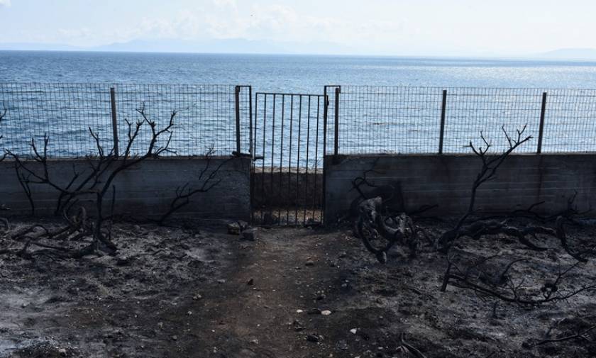 Φωτιές Αττική: Αίτημα Κοντονή να στραφούν οι έρευνες και στα αυθαίρετα