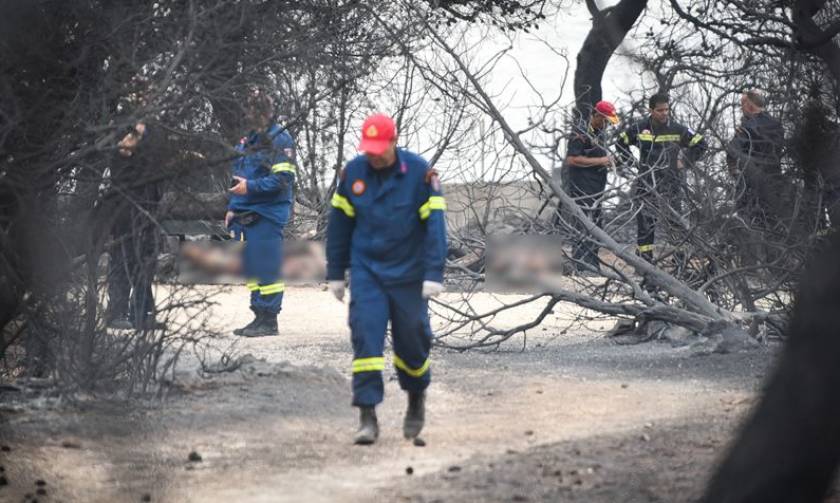 Φωτιά Μάτι: Συνεχίζονται οι καταθέσεις στην εισαγγελέα για τις φονικές πυρκαγιές