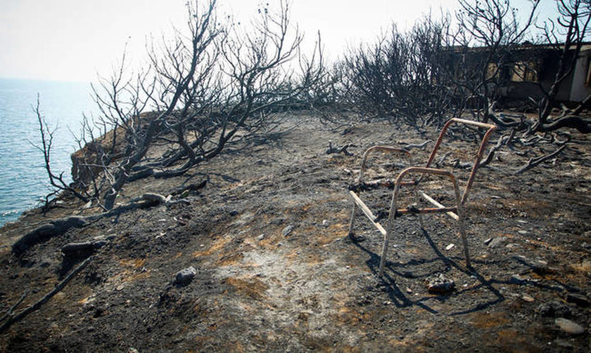 Φάμελλος: Καταπατημένη δασική έκταση το οικόπεδο του θανάτου στο Μάτι 