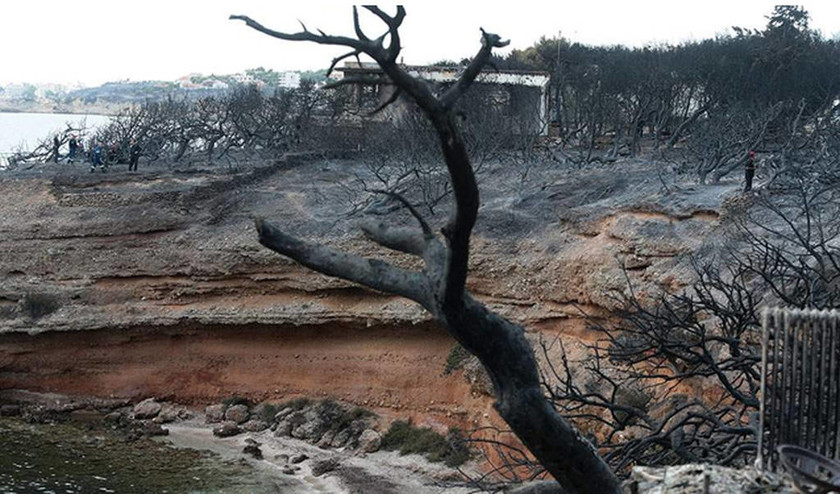 Φάμελλος: Καταπατημένη δασική έκταση το οικόπεδο του θανάτου στο Μάτι 