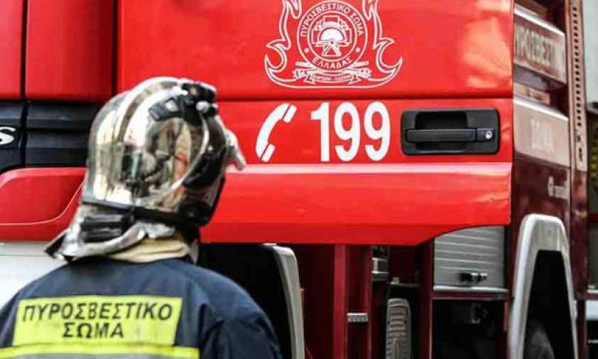 Χαλκιδική: Δύο παιδιά προσήχθησαν για πρόκληση φωτιάς