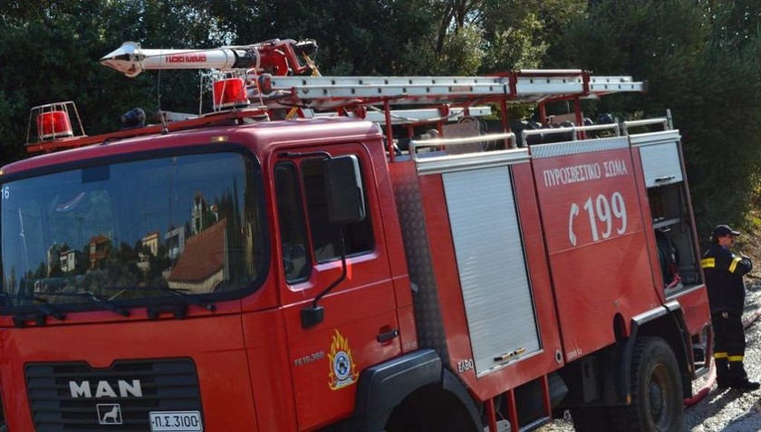 Χαλκιδική: Δύο παιδιά προσήχθησαν για πρόκληση φωτιάς