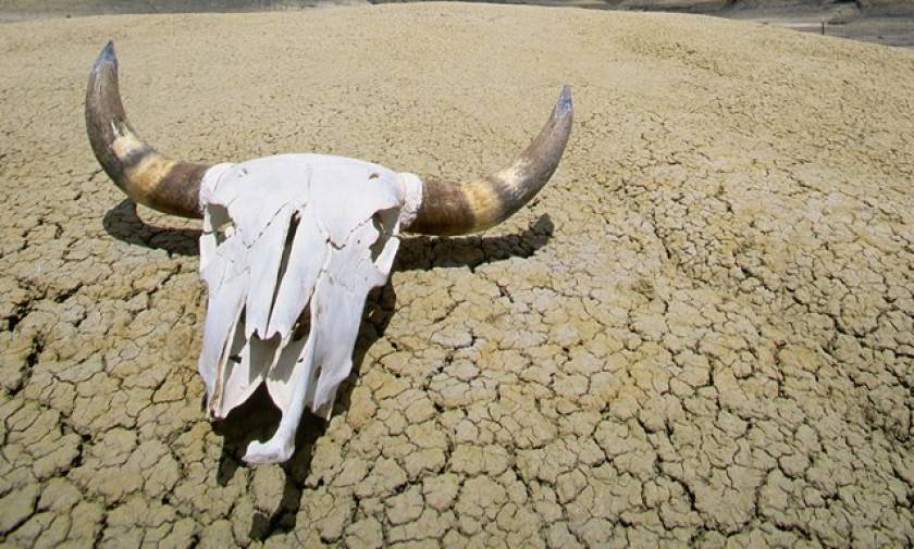 Παγκόσμιο ρεκόρ ζέστης: Δείτε πού έφτασε ο υδράργυρος στην Κοιλάδα του Θανάτου