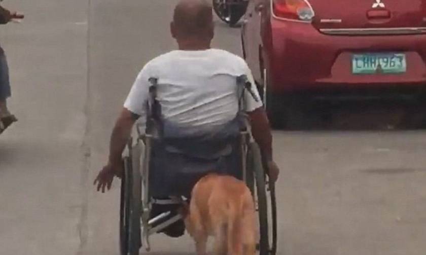 Συγκλονιστικό βίντεο: Σκύλος σπρώχνει το αναπηρικό καροτσάκι του αφεντικού του
