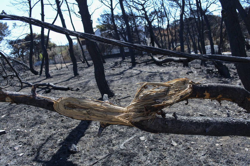 Εικόνες καταστροφής: Το Μάτι δύο εβδομάδες μετά τη φονική πυρκαγιά (pics)