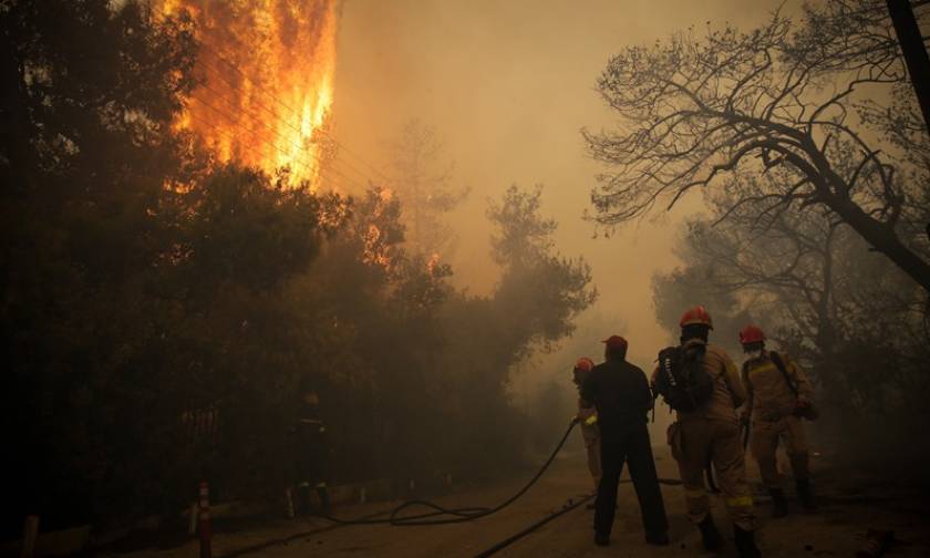 Fire in gorge in Nea Makri in progress