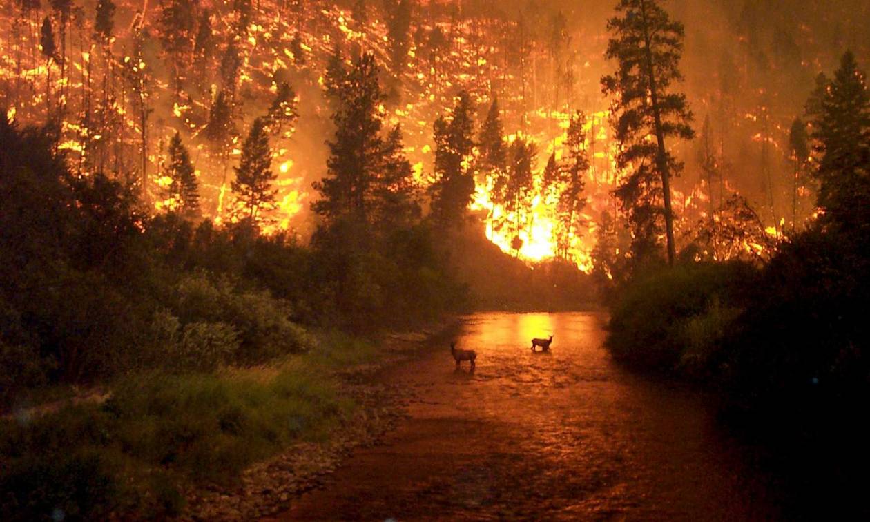 «Βιβλική» καταστροφή προβλέπουν οι ειδικοί: Έρχονται ισχυρότερες και φονικότερες πυρκαγιές