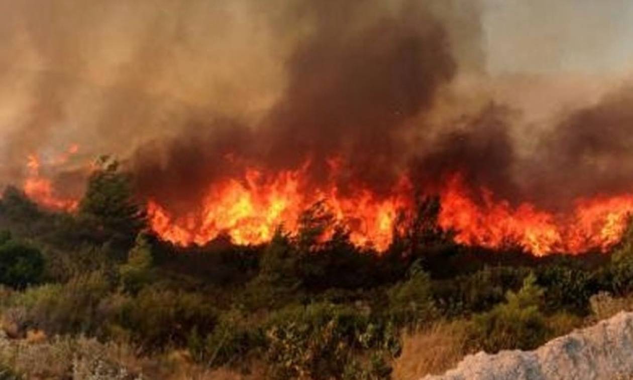 Μεγάλες φωτιές στη Ζάκυνθο: Δύο πύρινα μέτωπα με διαφορά λίγων λεπτών (vid+pics)