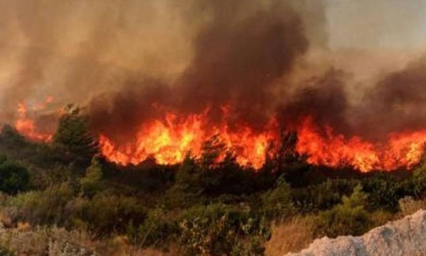 Forest fires break out in Zakynthos