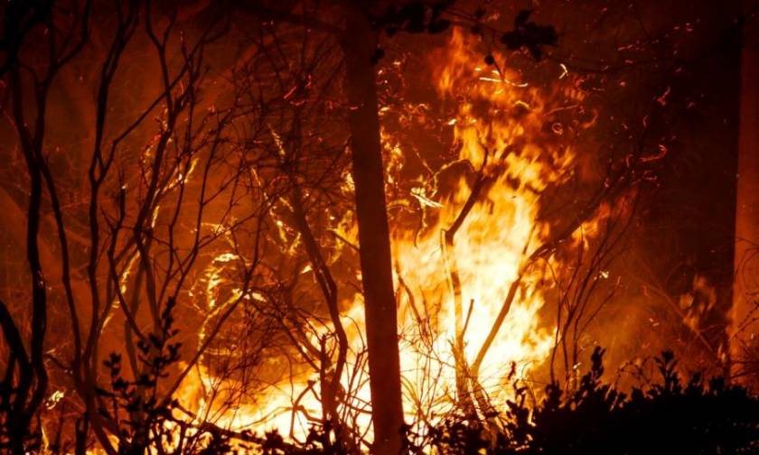 Αχαΐα: Υπό μερικό έλεγχο η φωτιά στην Άρλα