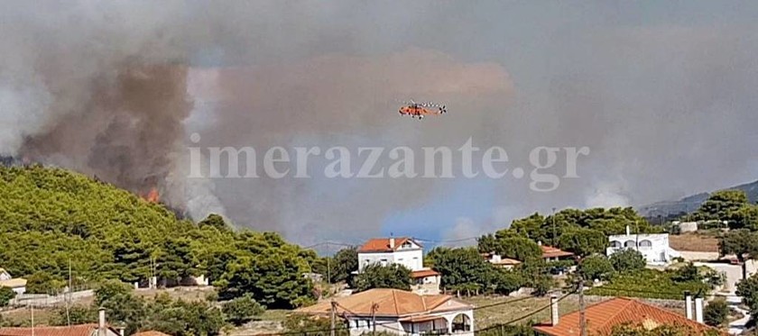 Φωτιές: Καίγεται η Ζάκυνθος - Πυρκαγιές και σε Άνδρο και Αχαΐα (pics)