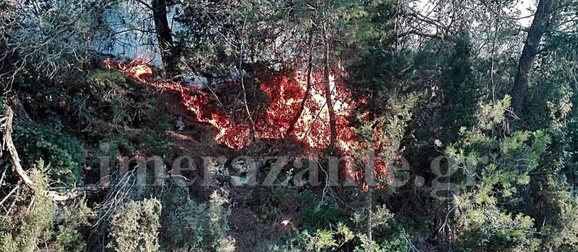 Φωτιές: Καίγεται η Ζάκυνθος - Πυρκαγιές και σε Άνδρο και Αχαΐα (pics)