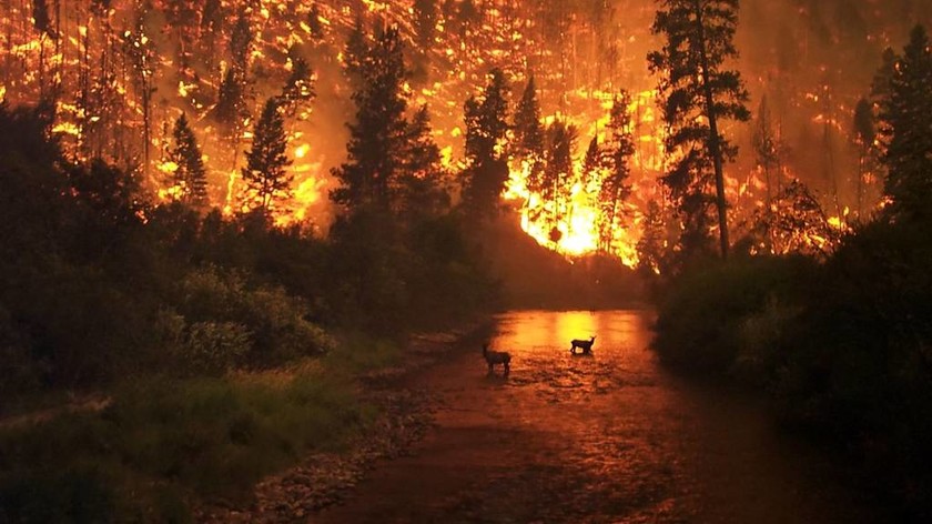 Στις φλόγες οι ΗΠΑ: Μαίνονται πάνω από 100 πυρκαγιές
