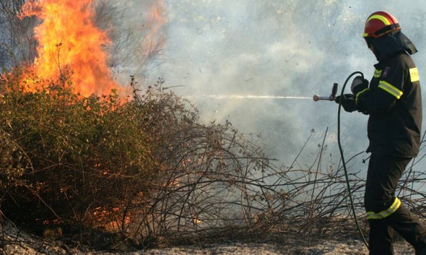 Φωτιά: Σε αυτές τις περιοχές είναι πολύ υψηλός ο κίνδυνος πυρκαγιάς τη Δευτέρα