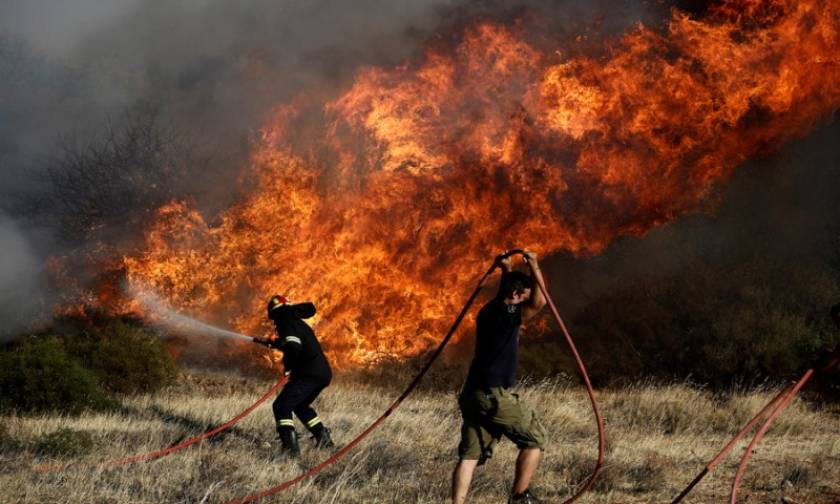 Φωτιά ΤΩΡΑ: Υπό μερικό έλεγχο η πυρκαγιά στο Κορωπί