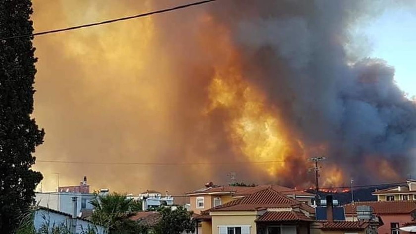 Φωτιά: Πυρκαγιά ΤΩΡΑ στην Εύβοια (pics+vids)