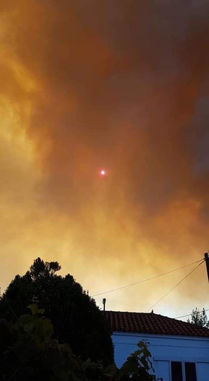 Φωτιά: Πυρκαγιά ΤΩΡΑ στην Εύβοια (pics+vids)