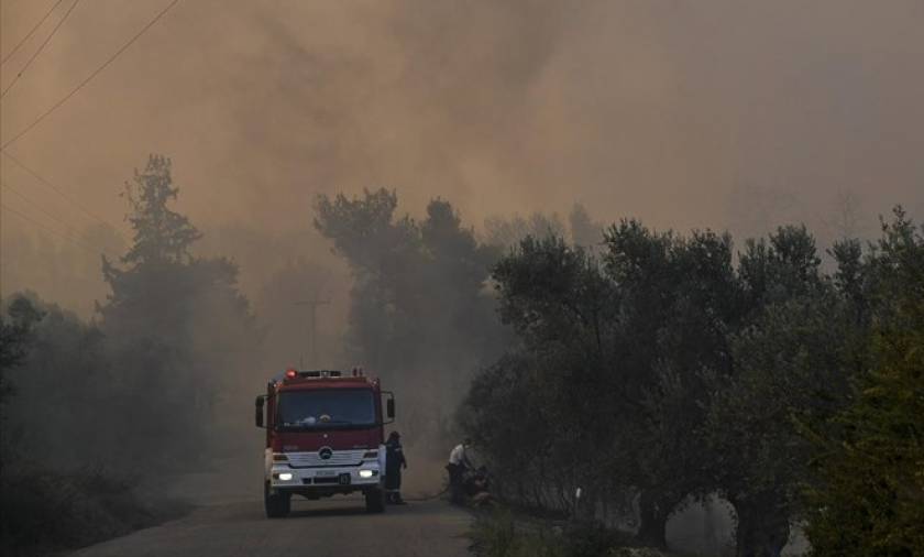 Φωτιά Εύβοια: Ποιοι δρόμοι είναι κλειστοί λόγω της πυρκαγιάς