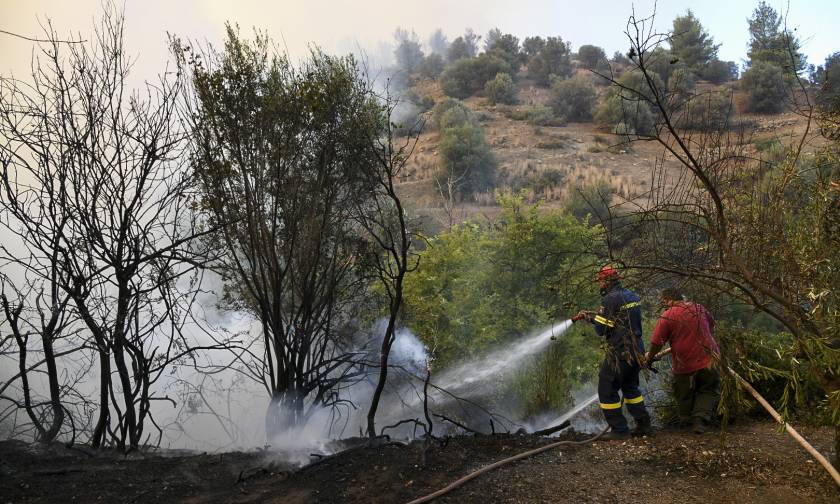 Φωτιά Εύβοια: Χωρίς ενιαίο μέτωπο η πυρκαγιά - Διάσπαρτες οι ενεργές εστίες (pics+vids)