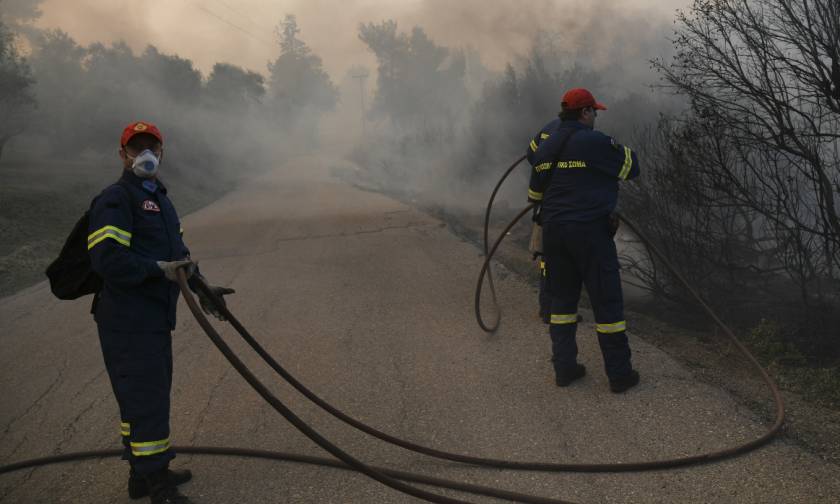 Φωτιά Εύβοια: «Στάχτη» τουλάχιστον 12.000 στρεμμάτα - Χωρίς ενιαίο μέτωπο η πυρκαγιά