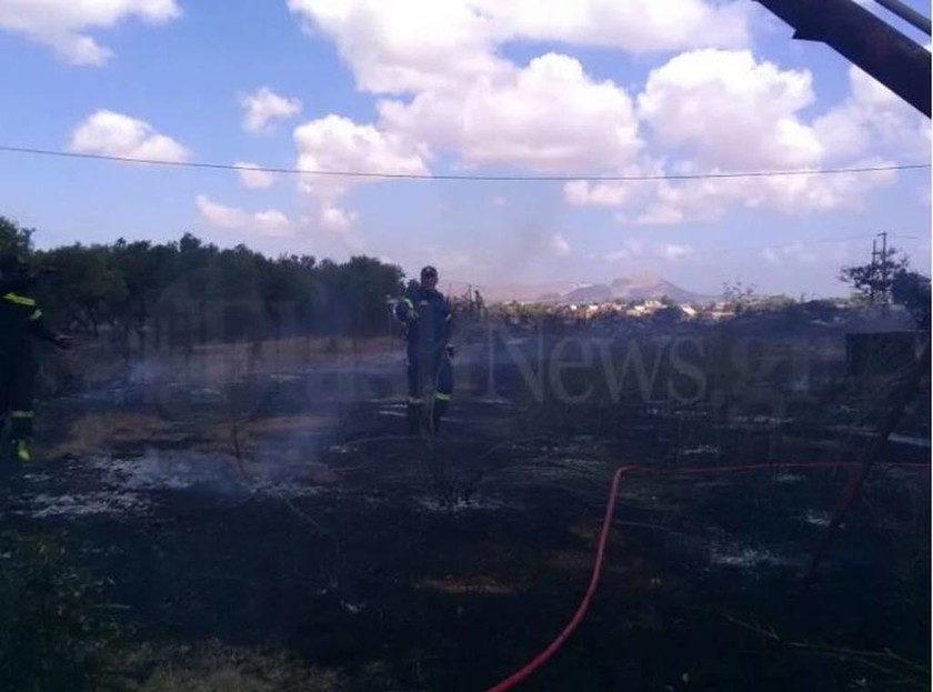 Φωτιά στην περιοχή Κορακιές Χανίων (pics)
